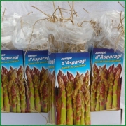 Asparagus legs